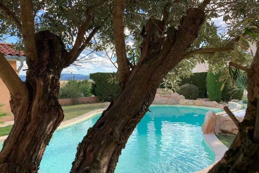 Villa Des Oliviers Avec Piscine Chassagny Екстер'єр фото